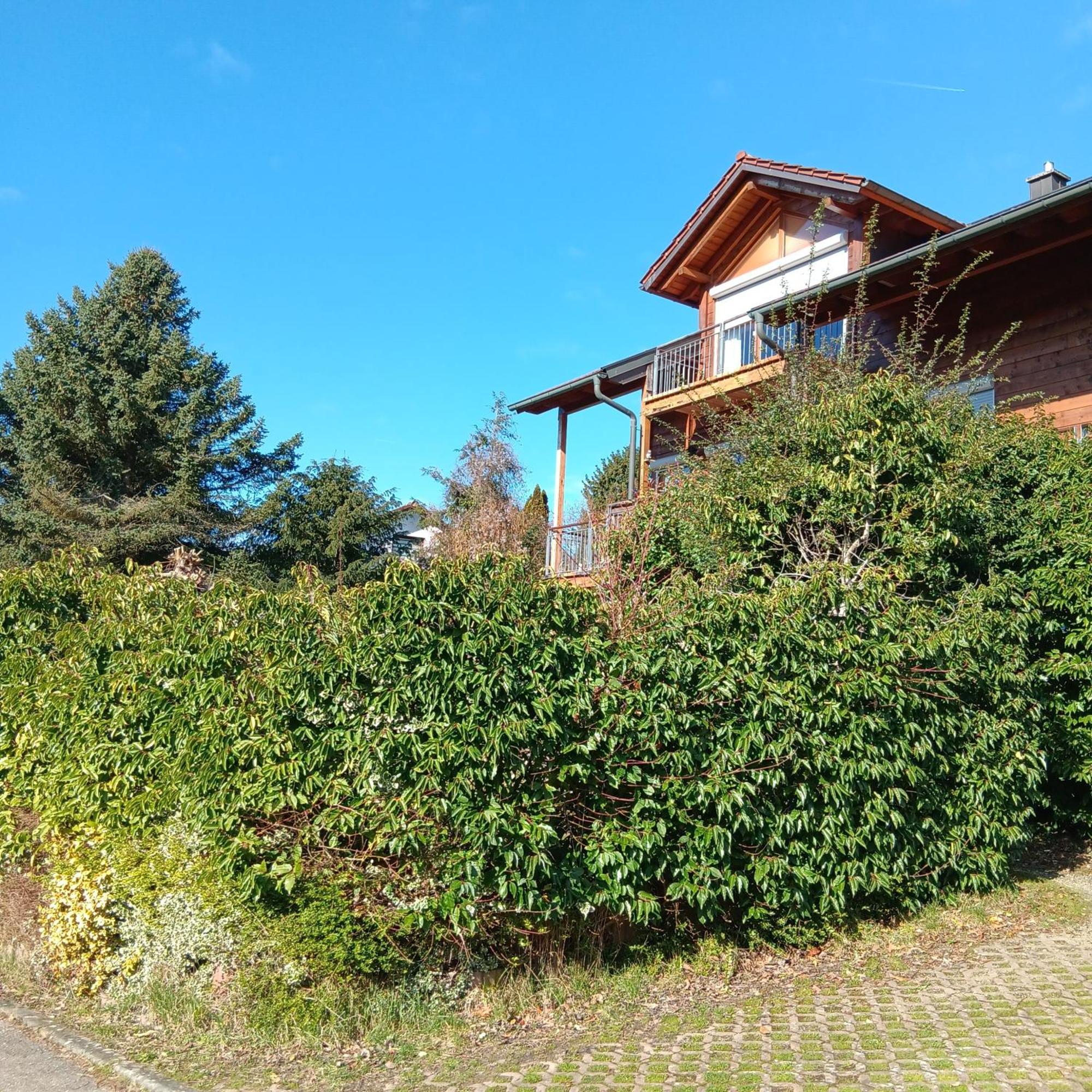 Gartenapartment Auf Der Hoeri In Wangen Ohningen Exterior foto